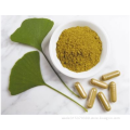 Ginkgo biloba Extract